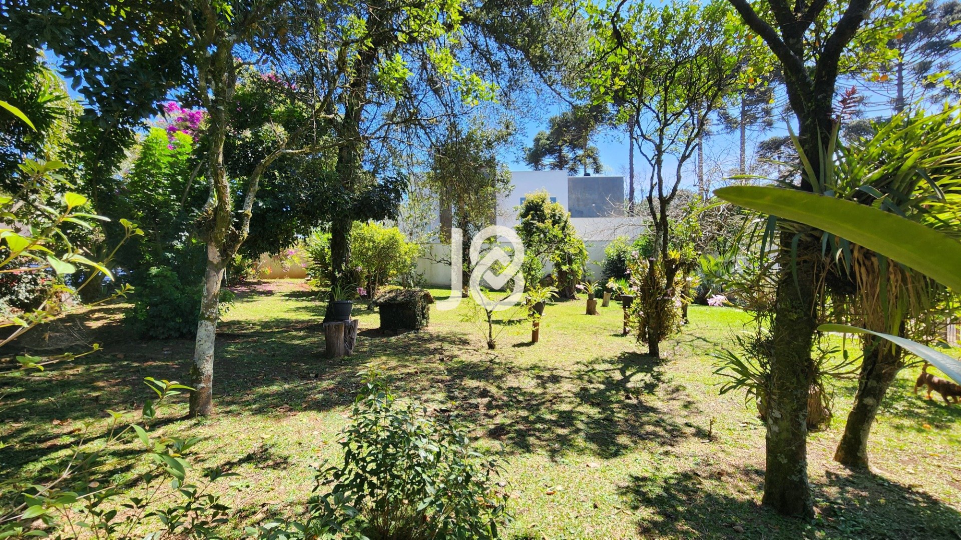 TERRENO COM 600M² EM SANTA FELICIDADE