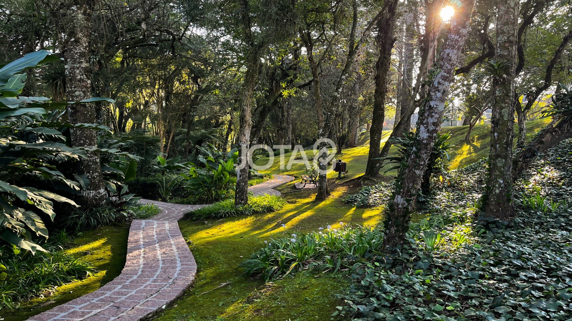 CASA EXCLUSIVA NO CONDOMÍNIO JARDIM COROADOS