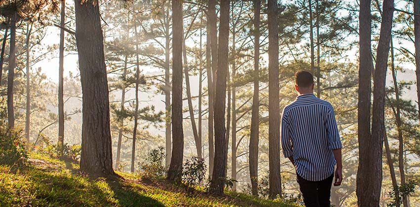 Homem alto com camisa listrada branca e azul caminhando por um bosque